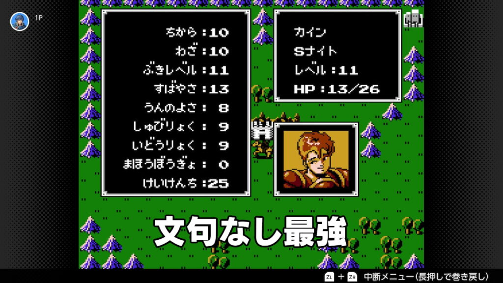 暗黒竜と光の剣　カインのステータス
